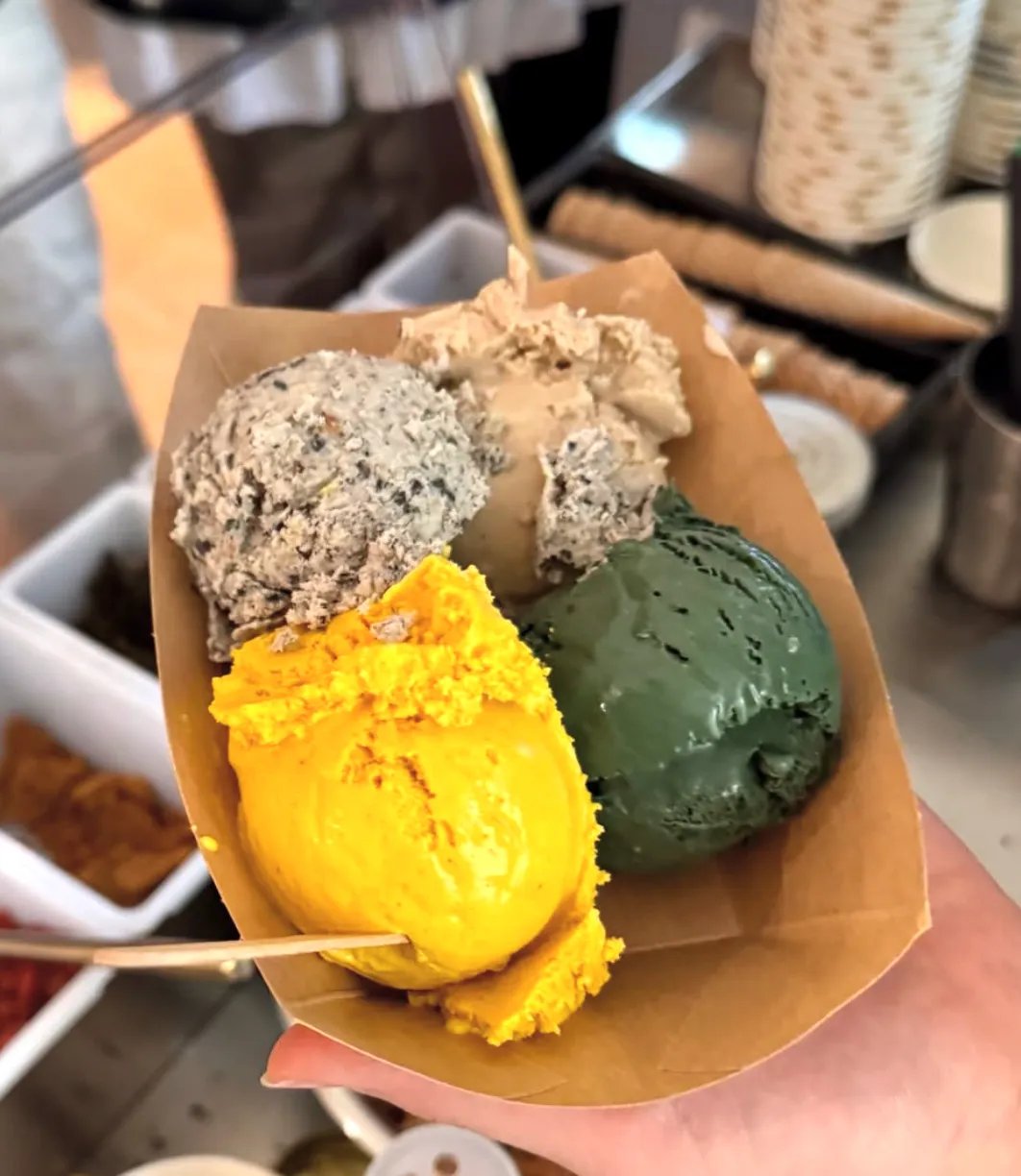 A tray of ice cream showing 4 different flavors.
